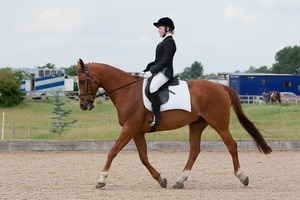 Class 5 (Novice 35 & Elementary 45)